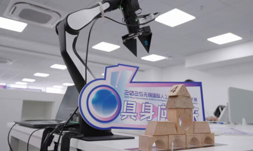 2025 无锡国际人工智能创新应用大赛